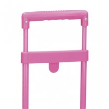 Carro Escolar Mini Roll Road Fucsia